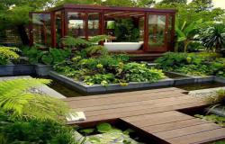 Glass shed surrounded by plants and water