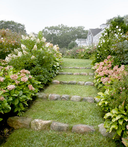 Green steps