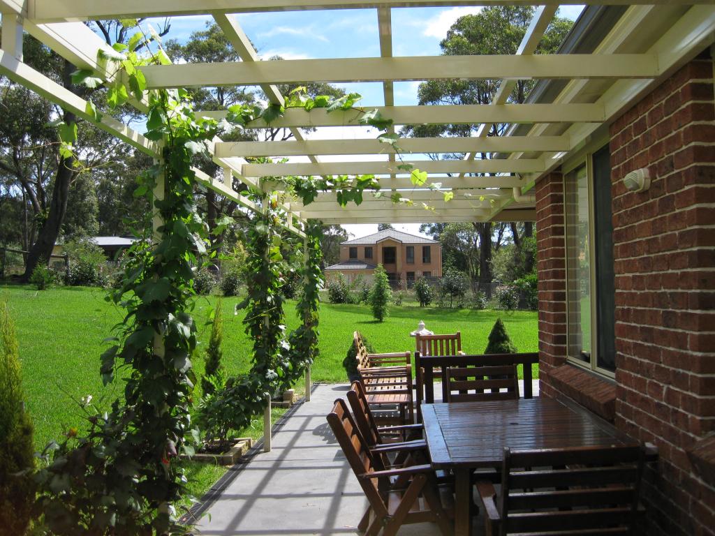 white attached pergola with vine