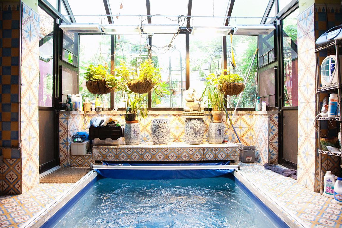 Sunroom with small pool