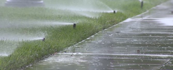 Wasted water due to over-watering from sprinklers